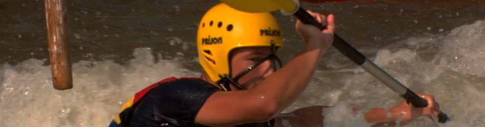 短信验证码轰炸网址免费